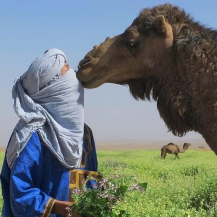 Riad De Reve Загора Екстериор снимка